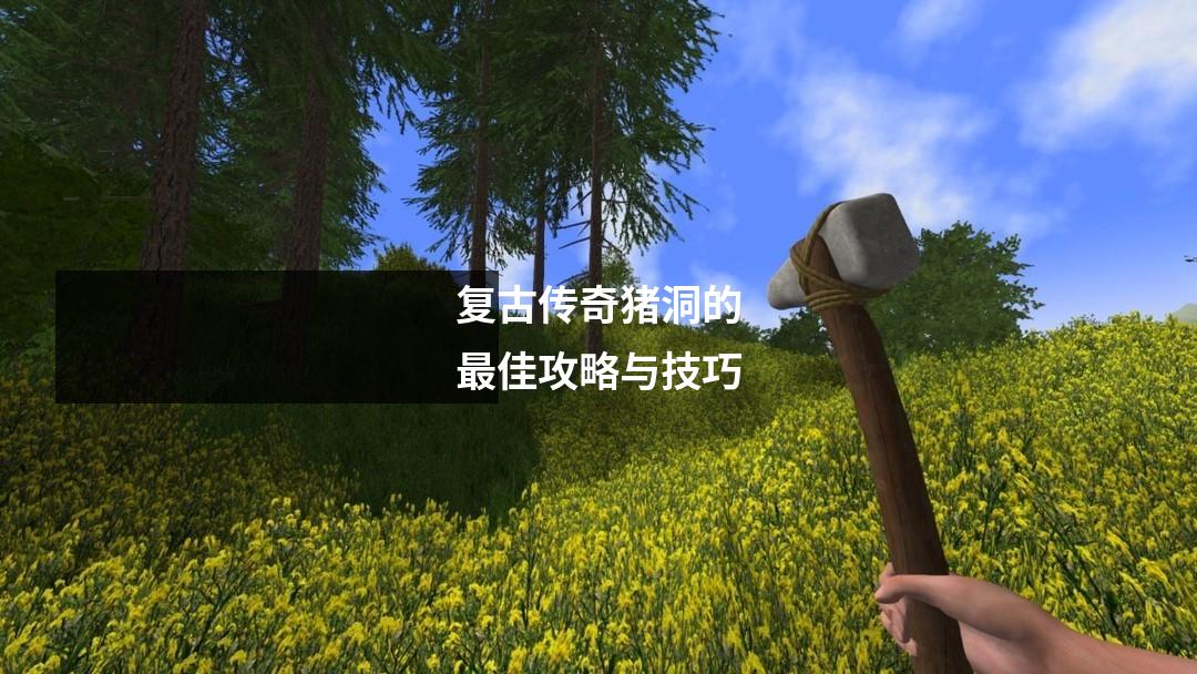 复古传奇猪洞的最佳攻略与技巧