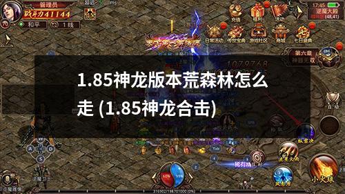 1.85神龙版本荒森林怎么走 (1.85神龙合击)