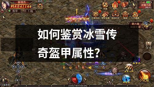 如何鉴赏冰雪传奇盔甲属性?