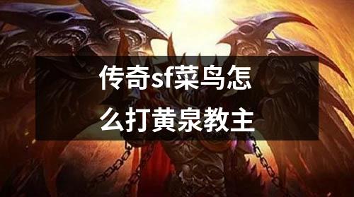 传奇sf菜鸟怎么打黄泉教主